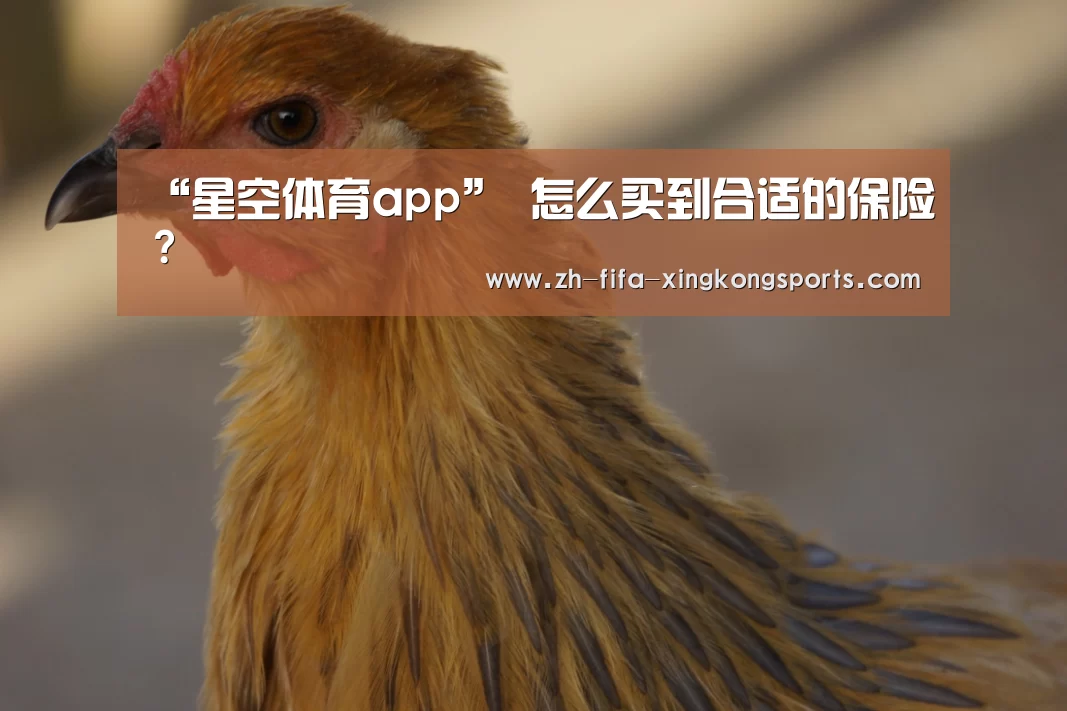 “星空体育app”
怎么买到合适的保险？(图2)