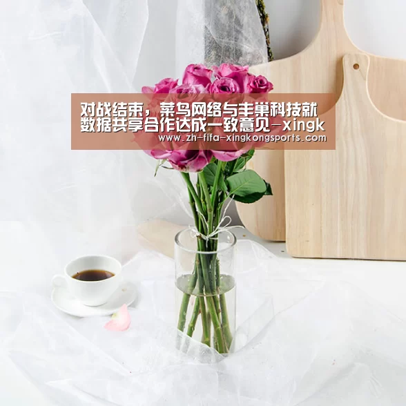 对战结束，菜鸟网络与丰巢科技就数据共享合作达成一致意见-xingkong(图3)