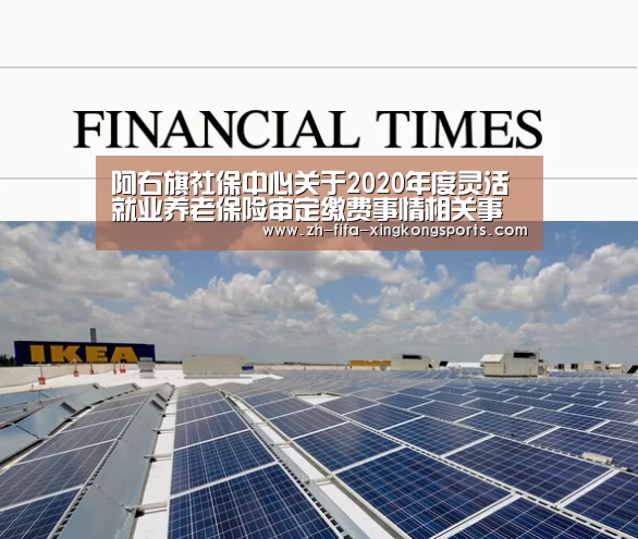 
阿右旗社保中心关于2020年度灵活就业养老保险审定缴费事情相关事宜的通知_xingkong(图3)