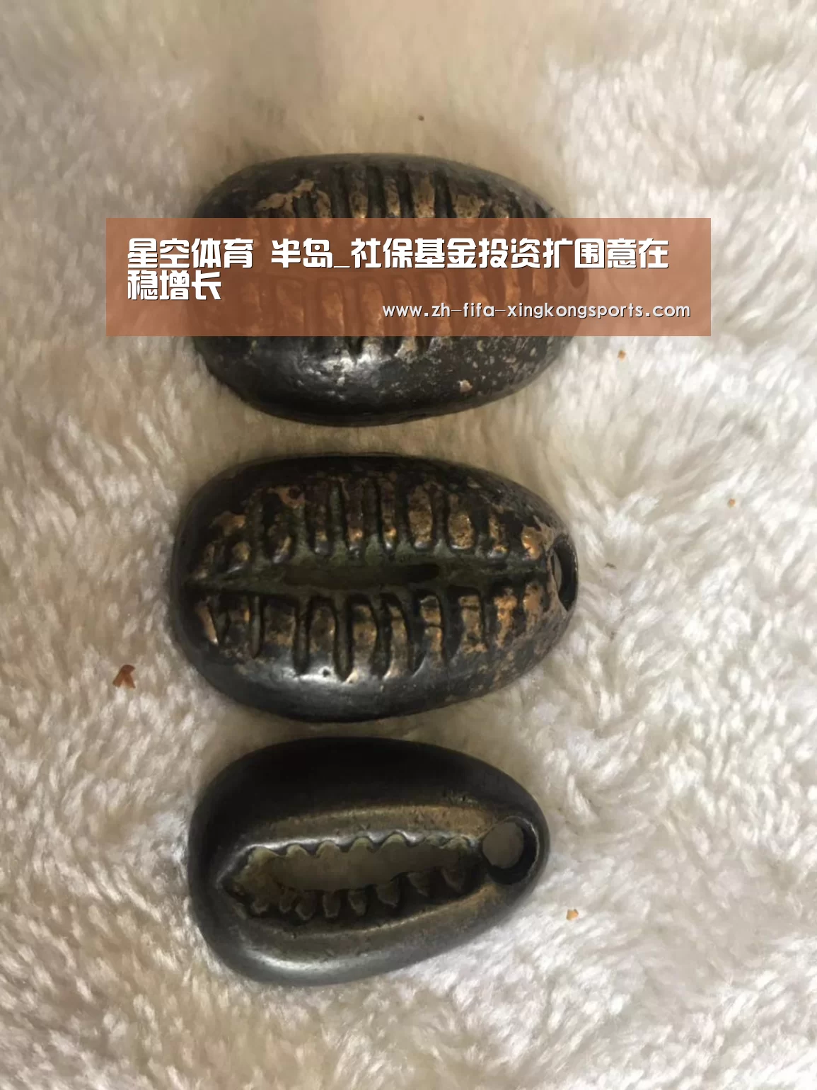 星空体育app