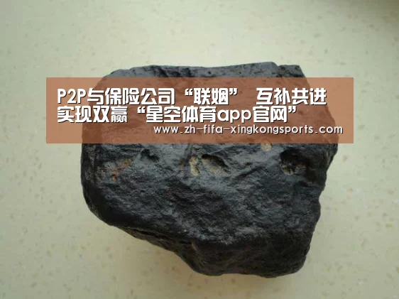 P2P与保险公司“联姻” 互补共进实现双赢“星空体育app官网”(图1)